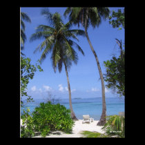Tropical Beach posters