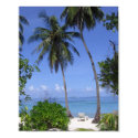 Tropical Beach posters