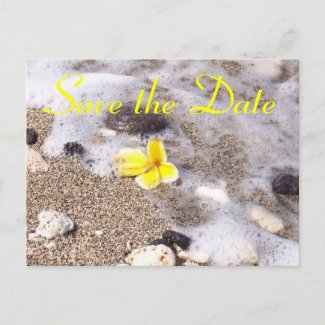 Tropical Beach Save the Date Plumeria postcard