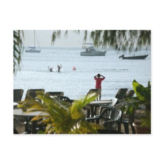 Tropical Beach Scene postcard