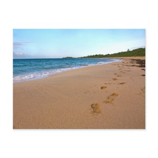 Tropical Beach Scene postcard