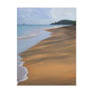 Tropical Beach Scene postcard