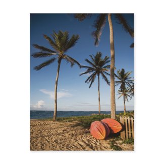 Tropical Beach Scene postcard