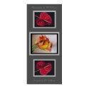 Tropical Beauties by TDGallery posters by tdgallery Tropical Beauties by TDGallery posters