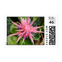 Tropical Beauty Postage postage by Absinthia Tropical Beauty Postage postage