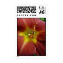 Tropical Beauty postage by momasart Tropical Beauty postage