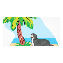 tropical bernese mountain dog photo greeting card