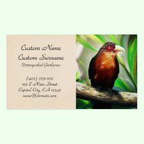 Tropical Bird cool colourful exotic painting business cards
