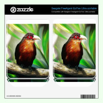 Tropical Bird cool colourful exotic painting skins