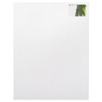 Tropical Bird Picture on Palm Tree Custom Letterhead