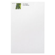 Tropical Bird Picture on Palm Tree Stationery Paper
