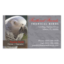 Tropical Birds Business Card