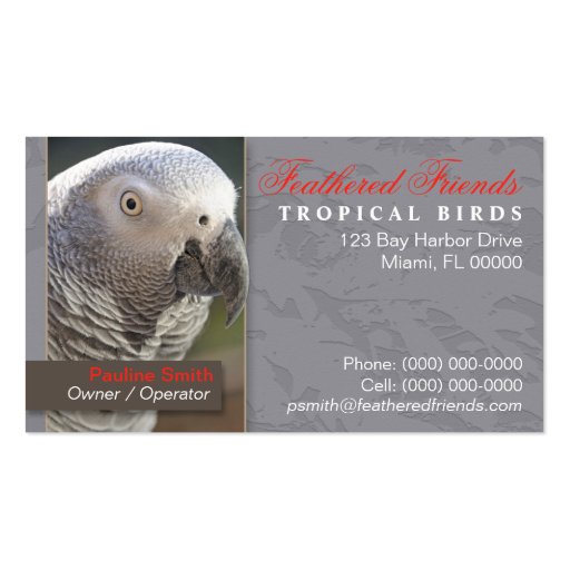 Tropical Birds Business Card (front side)