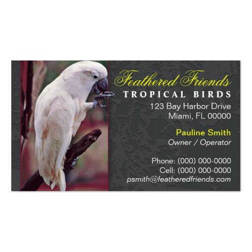 Tropical Birds Business Card (front side)