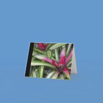 Tropical Blank NOTE CARDS cards