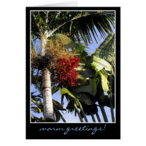 Tropical Breeze cards