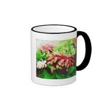 tropical bromeliad, fairchild tropical garden, mia mug