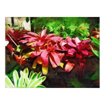 tropical bromeliad, fairchild tropical garden, mia posters
