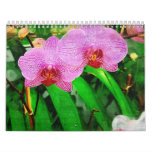 tropical bromeliad & orchids, fairchild tropical g
