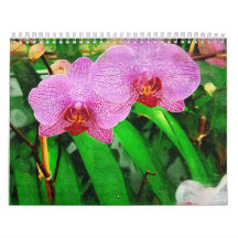 tropical bromeliad & orchids, fairchild tropical g calendars
