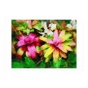 Tropical Bromeliad posters