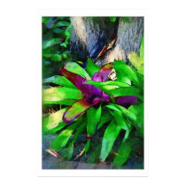Tropical Bromeliad posters