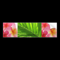 Tropical bumper stickers