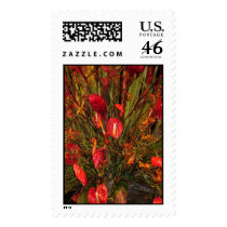 Tropical Burst postage
