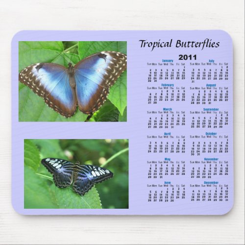 Tropical Butterfly Calendar mousepad