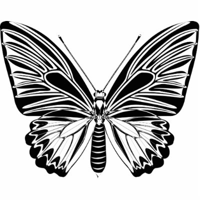 cut butterfly