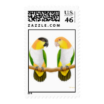 Tropical Caique Parrots Postage postage by twopurringcats Tropical Caique Parrots Postage postage