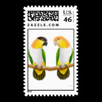 Tropical Caique Parrots Postage postage