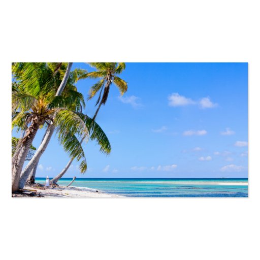 Tropical coastline business card