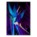 This greeting card displays a bright blue tropical dream