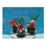 Tropical drinks, Hawaii flowers Postcards