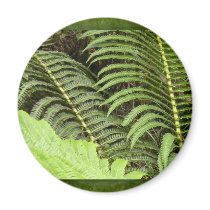 Tropical ferns magnets by perfectpostage Tropical ferns magnets