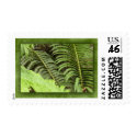 Tropical ferns stamp