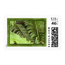Tropical ferns postage by perfectpostage Tropical ferns postage