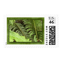 Tropical ferns stamp
