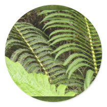 Tropical ferns stickers by perfectpostage Tropical ferns stickers
