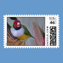 Tropical Finch Stamp stamps