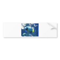 Tropical Fish bumper stickers by pollop Tropical Fish bumper stickers