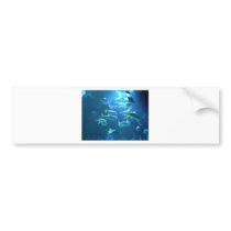 Tropical Fish Bumper Stickers