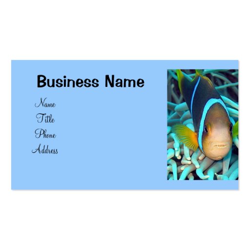 Tropical Fish Business Card (back side)
