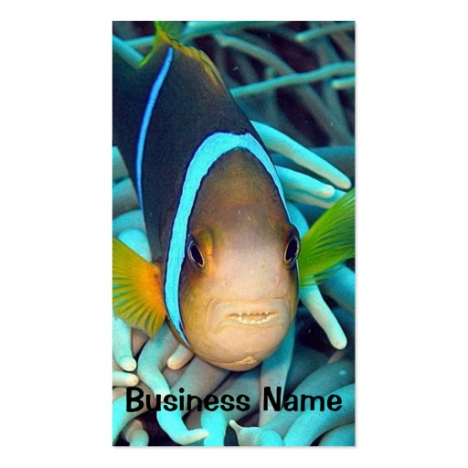 Tropical Fish Business Card