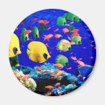 Tropical Fish in Coral Sea Fridge Magnet
