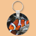Tropical Fish keychains