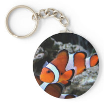 Tropical Fish Key Chains