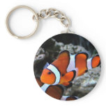 Tropical Fish Key Chains