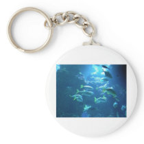 Tropical Fish Keychains